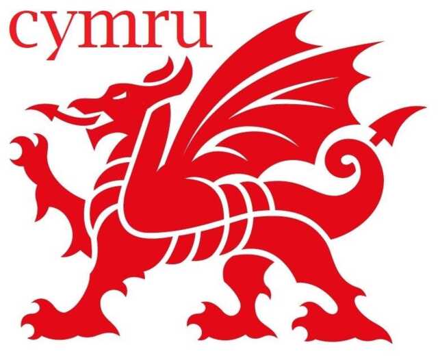 Welsh Dragon Decal Wales Sticker Vinyl Car Bonnet Side Wall Art Graphic Silhouette Van Lorry Motorhome Campervan Cymru