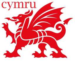 Welsh Dragon Decal Wales Sticker Vinyl Car Bonnet Side Wall Art Graphic Silhouette Van Lorry Motorhome Campervan Cymru