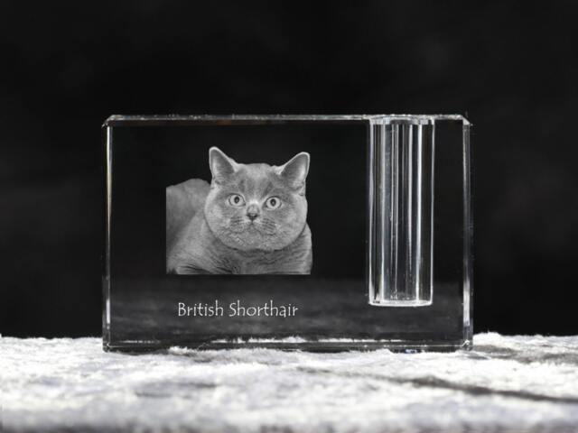 British Shorthair, Crystal Pen Holder With Cat, Souvenir, Decoration, Limited Edition, Collection - image 1