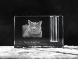 British Shorthair, Crystal Pen Holder With Cat, Souvenir, Decoration, Limited Edition, Collection - thumbnail 1