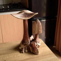 Large Mushroom Sculpture 12 Inch/30, Wooden Carving, Home Decor, Room Personalized Statue, Living Room, Office Gift Idea - thumbnail 3