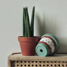 Hand Painted Terracotta Plant Pot For Houseplants - Customisable With Drainage & Saucers To Match Great Gift Idea - thumbnail 1