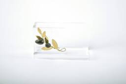 Handmade Brass Gift Business Card Holder in Plexiglass