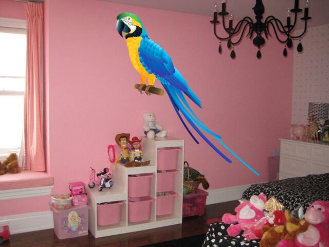 Parrot Full Color Decal, Bird Color Sticker, Wall Art, Cn 118
