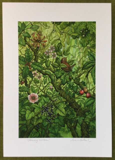 "Jenny Wren - Print From The ""Forest Of Enchantment Oracle" - image 1