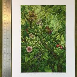 "Jenny Wren - Print From The ""Forest Of Enchantment Oracle" - thumbnail 2
