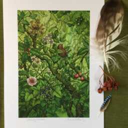 "Jenny Wren - Print From The ""Forest Of Enchantment Oracle" - thumbnail 3