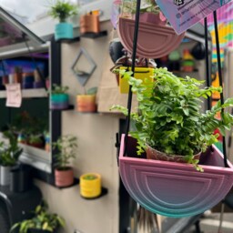 Hanging Rainbow Planter, 3D Printed Cute Minimal Gift, Planter Pots Nordic Style, 4 Inch Plant Pot Patio Decor - thumbnail 2