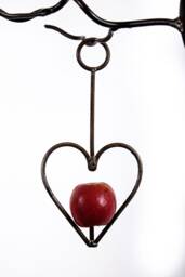 Heart Apple/ Fatball & Coconut Bird Feeder in Waxed Steel - thumbnail 1