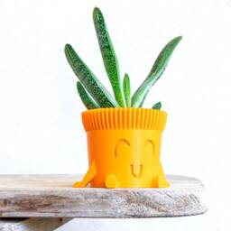 Colorful Cute Planter - Sitting Plant Pot Succulent Face Beautiful Gift Idea - thumbnail 2