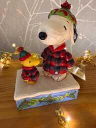Snoopy & Woodstock Puffer Jackets Licensed