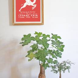 Levant Fair Red Mid Century Modern Orient Israel Palestine Souvenir Gift Bauhaus Poster Print Tel Aviv Bohemian Flying Camel ??????????????? - thumbnail 3