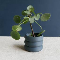 "Terracotta Indoor Wooden Planter ""Eden" - thumbnail 4