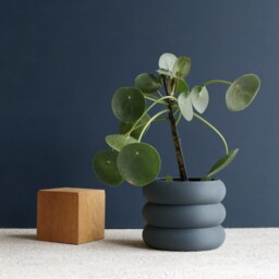 "Terracotta Indoor Wooden Planter ""Eden" - thumbnail 2