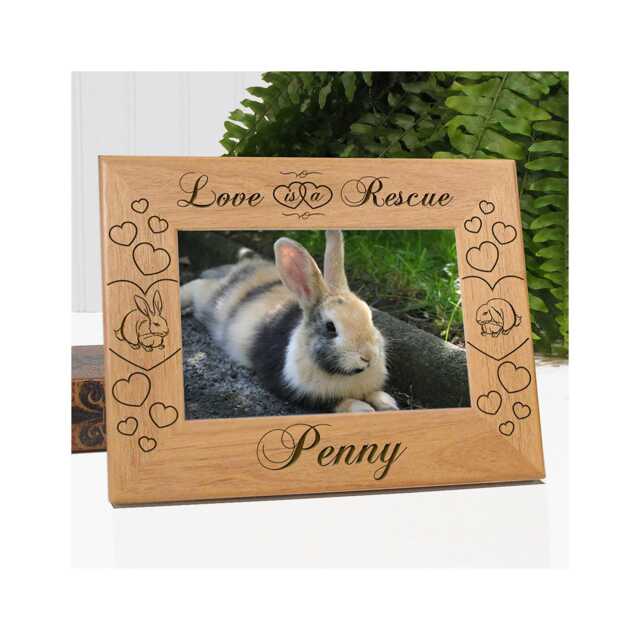 Rabbit Picture Frame, Custom Wood Photo Adopted Bunny Gifts For Women - image 1