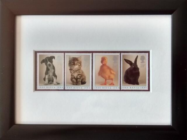 Pets Framed Stamps For The Anniversary Of Rspca 1990 - image 1