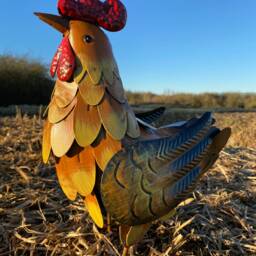 Little Metal Hen Garden Ornament - thumbnail 2