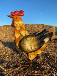 Little Metal Hen Garden Ornament - thumbnail 1