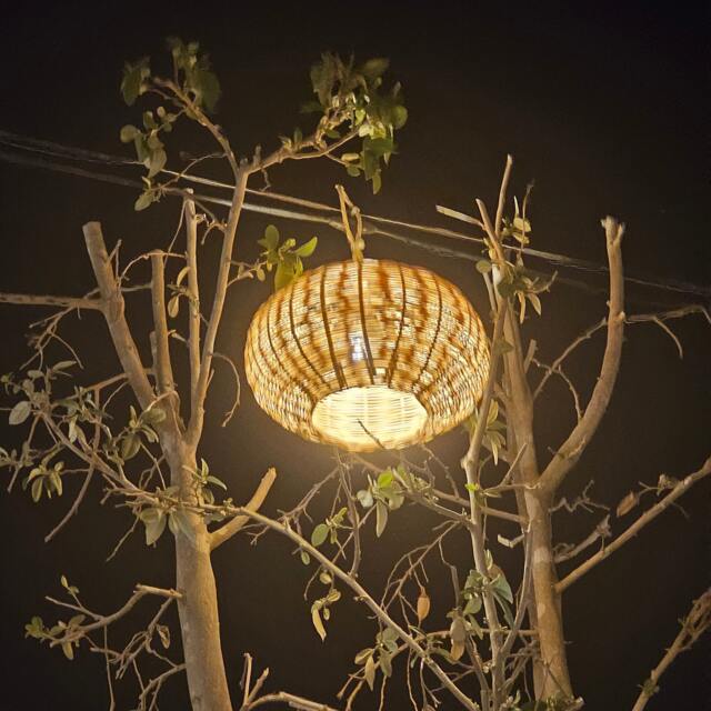 Wicker Ball Pendant Light, Straw Lampshade - image 1