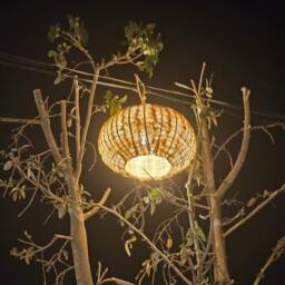 Wicker Ball Pendant Light, Straw Lampshade