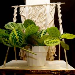 Boho Macrame Wall Hanging Shelf - Rectangle Wood Slice - thumbnail 3