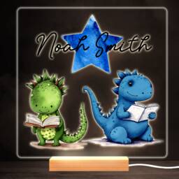 Dinosaur Reading Books Colourful Square Personalised Gift Led Lamp Night Light - Bedroom