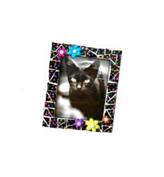 Polka Dot Mosaic Frame With Flowers, Black Multi-Colored 4x5 Photo Holder
