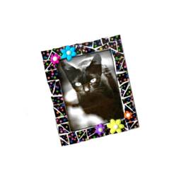 Polka Dot Mosaic Frame With Flowers, Black Multi-Colored 4x5 Photo Holder - thumbnail 3