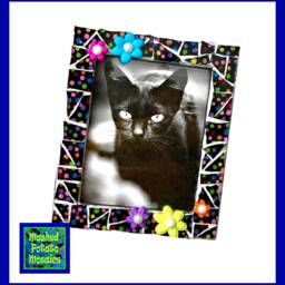 Polka Dot Mosaic Frame With Flowers, Black Multi-Colored 4x5 Photo Holder - thumbnail 4