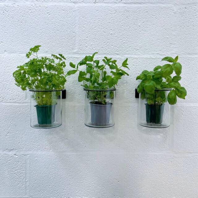 Pot Wall Holder - 3 Pack Plants Storage Mount Art Supplies Toothbrush Organization Shelving Dorm Decor Desk Accessories - image 1