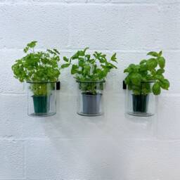 Pot Wall Holder - 3 Pack Plants Storage Mount Art Supplies Toothbrush Organization Shelving Dorm Decor Desk Accessories - thumbnail 1