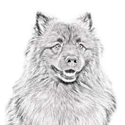 Keeshond - Wooden Stand For Candles/Pens With The Image Of A Dog New Collection - thumbnail 2