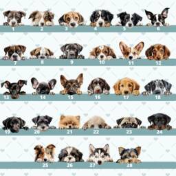 Personalised Shih Tzu Christmas Decoration, Ornament, Tree Bauble Pet Lover, New Puppy - thumbnail 2