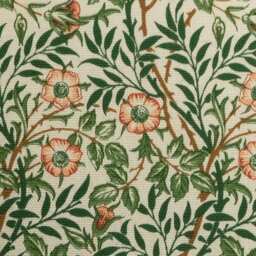 William Morris Sweet Briar Cushion Cream Floral Pillow Cover, 100% Cotton, Various Sizes, Double-Sided - thumbnail 3