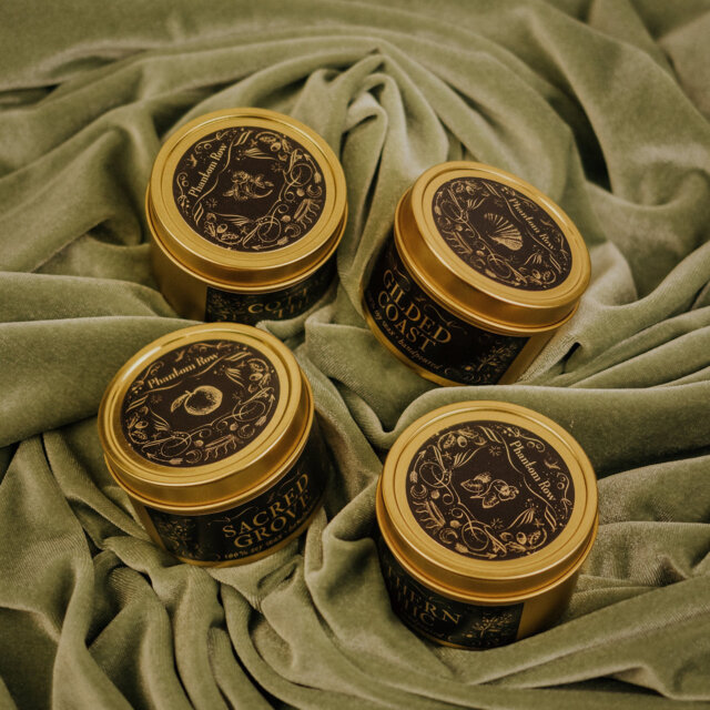 Light Collection Scented Soy Wax Candle Tins - Cottage By The Sea, Gilded Coast, Sacred Grove, Southern Gothic - image 1