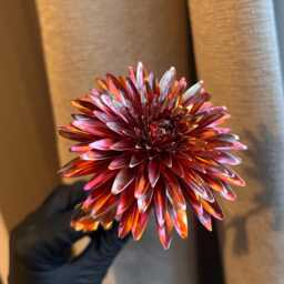 Handmade Copper & Titanium Colourful Chrysanthemum, Patina Metal Flower, Gift, Anniversary, Mother's Day - thumbnail 3