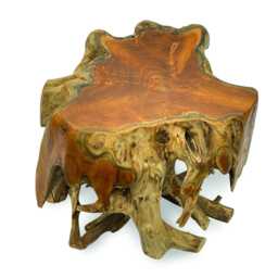 Small Round Spider Teak Root Coffee Table 60cm - thumbnail 2