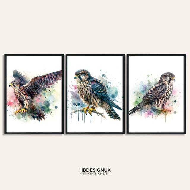 Falcon Print Set - Of 3 Posters - Watercolor Painting Watercolour Picture Merlin Wall Art Artwork Gifts Bird Decor - image 1