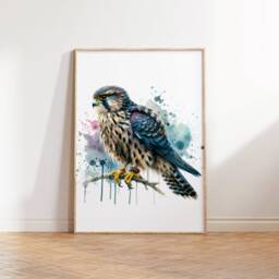 Falcon Print Set - Of 3 Posters - Watercolor Painting Watercolour Picture Merlin Wall Art Artwork Gifts Bird Decor - thumbnail 3