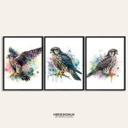 Falcon Print Set - Of 3 Posters - Watercolor Painting Watercolour Picture Merlin Wall Art Artwork Gifts Bird Decor - thumbnail 1