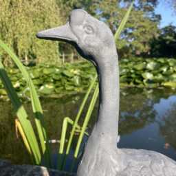 Metal Cast Iron Goose Garden Ornament - Lead Effect Finish - thumbnail 3