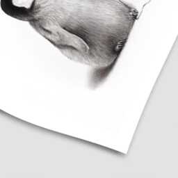 Positive Penguin Art Print - thumbnail 3