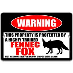 Funny Fennec Fox Sign, Desert Animal Wall Decor, Metal Sign