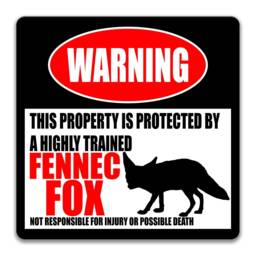Funny Fennec Fox Sign, Desert Animal Wall Decor, Metal Sign - thumbnail 3