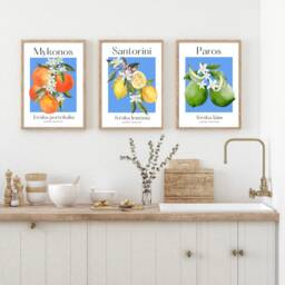 Citrus Fruit Print, Greece Set Of 3 Art Prints, Wall Art, Kitchen Home Decor, Decor - thumbnail 1