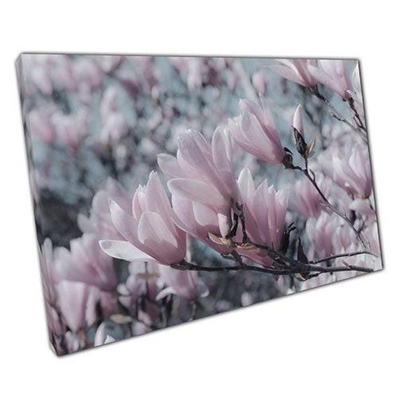 Canvas Wall Art Print Powder Pink Tulip Magnolia Tree Ready To Hang Home Office Decor - image 1