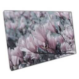 Canvas Wall Art Print Powder Pink Tulip Magnolia Tree Ready To Hang Home Office Decor - thumbnail 1