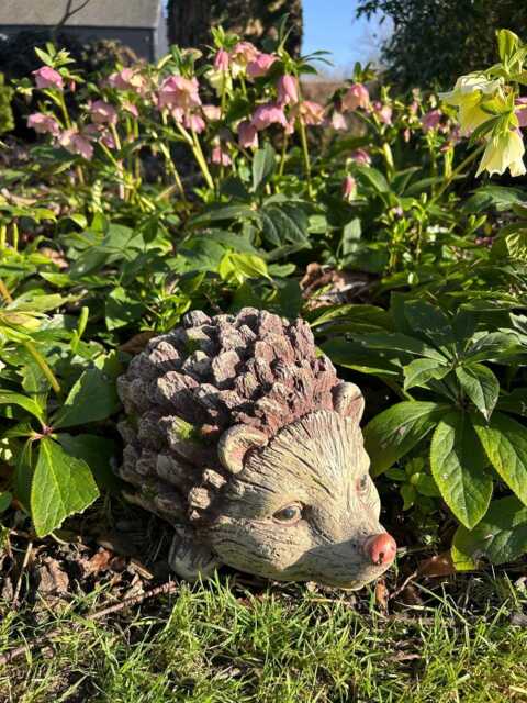 Hedgehog Garden Ornament Resin Animal Decoration Outdoor Indoor Cute Rustic - image 1
