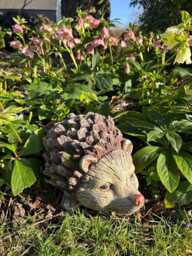 Hedgehog Garden Ornament Resin Animal Decoration Outdoor Indoor Cute Rustic