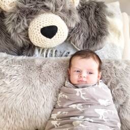 Gray Bear Rug in Faux Fur For Woodland Nursery Decor - thumbnail 4